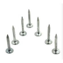 Superior Quality Galvanized Clouts Nail/Ceiling Nail/Felt Nail/Big Head Nail Flat Head Smooth Shank Zinc Coated 1-1/2′, Three Star Felt Nail